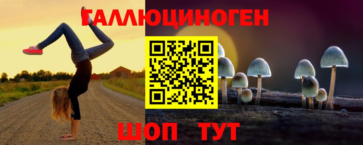 Галлюциногенные грибы Psilocybine cubensis  Псилоцибиновые грибы Psilocybine cubensis  Вход с VPN  Норильск 